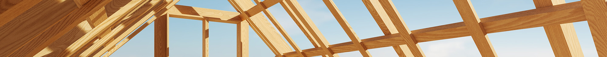 CC-Frame-1