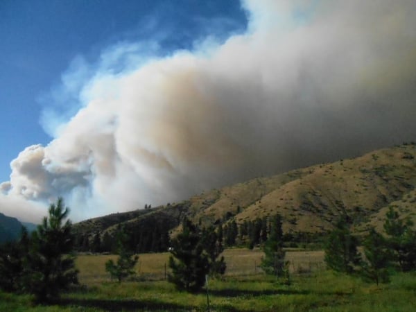 Smoke comes up over a hillside towards trees and grass