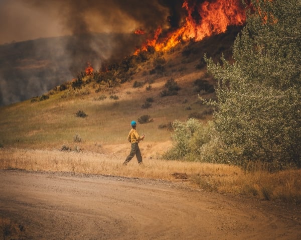 A firefighter works alone against a wildfire