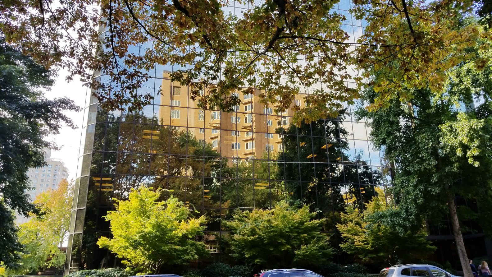 The Basics on the Basic Causes of Loss WSRB Blog