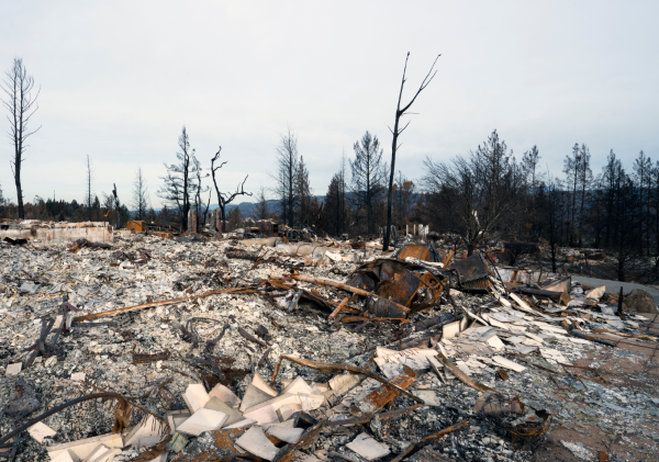 A neighborhood destroyed by wildfire