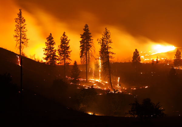 A wildfire burns at night