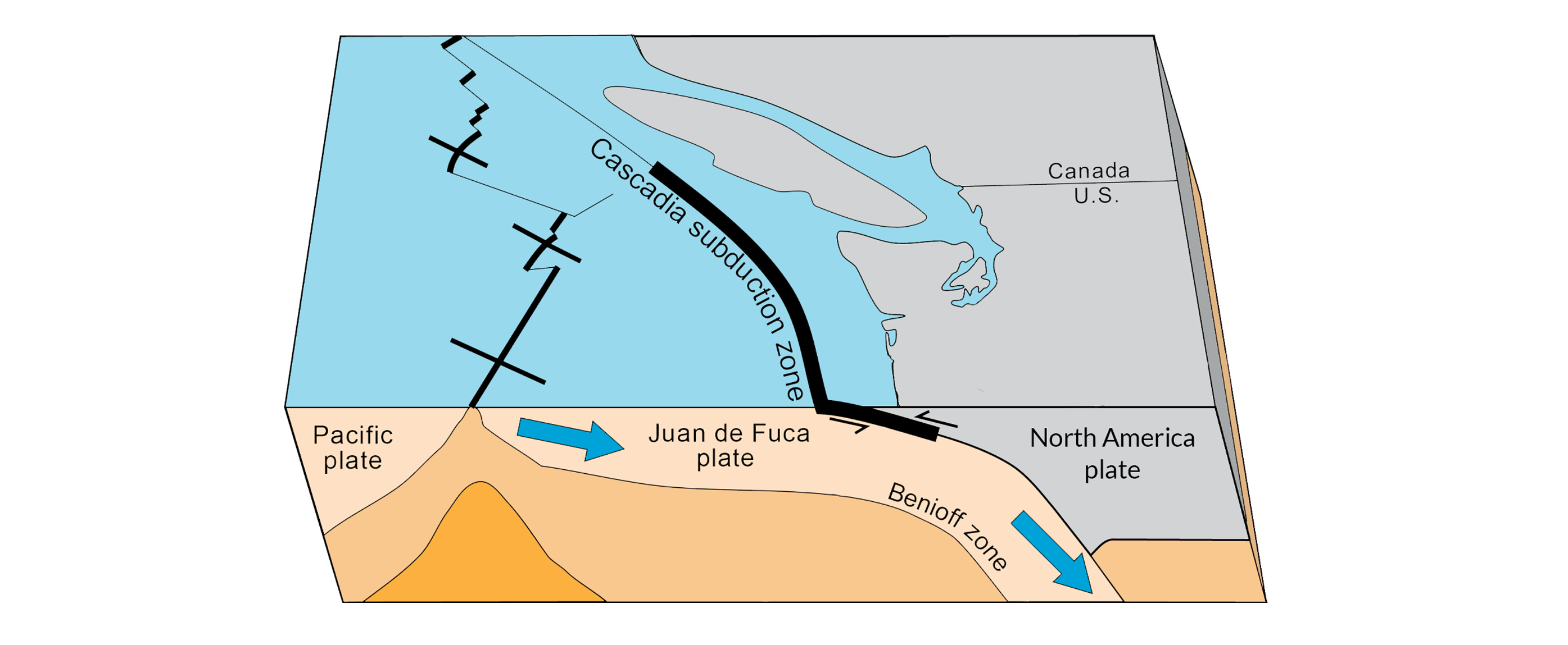 Cascadia subduction zone map from the side facing north