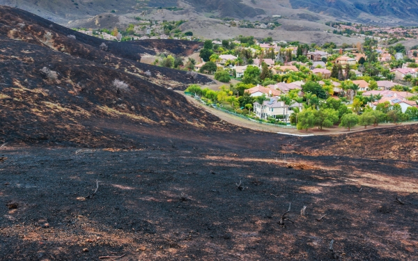 Scorched earth near a housing development