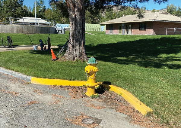 Fire hydrant with yellow body and green cap