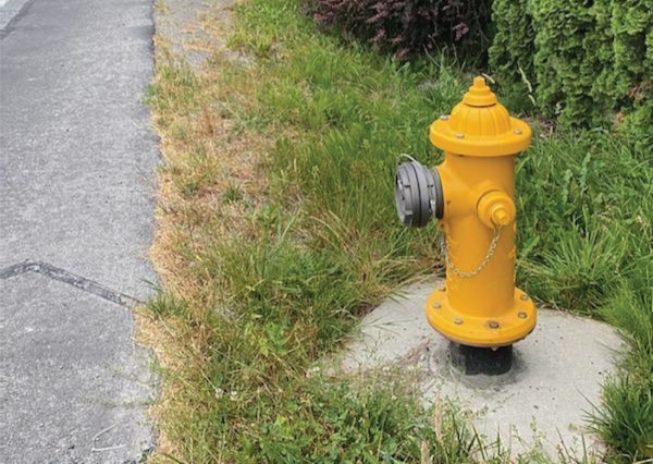 A yellow fire hydrant without color coding