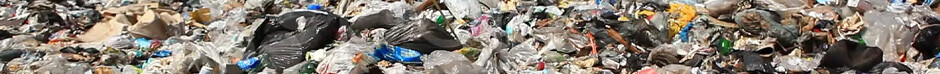ineligible-dump