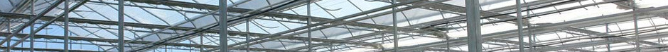 ineligible-greenhouse