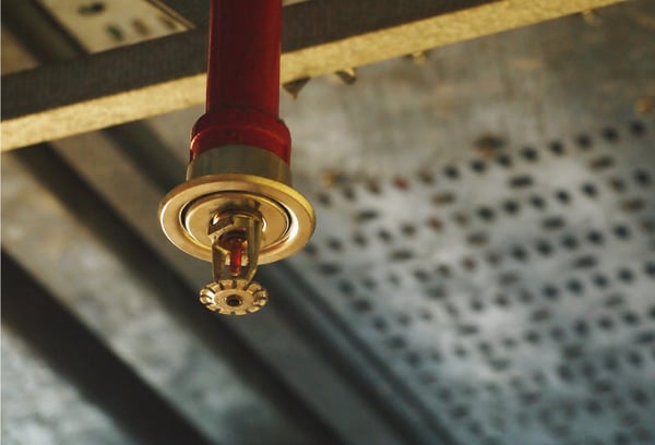 An automatic fire sprinkler system head