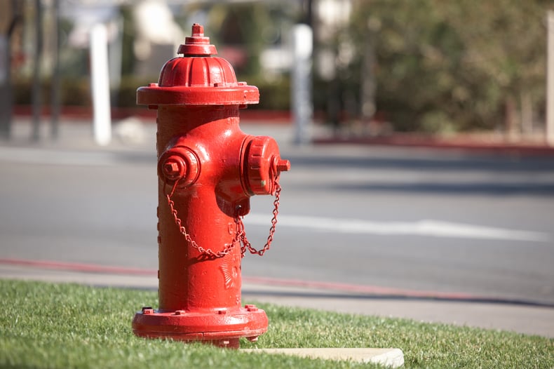 Red fire hydrant on a street corner in green grass