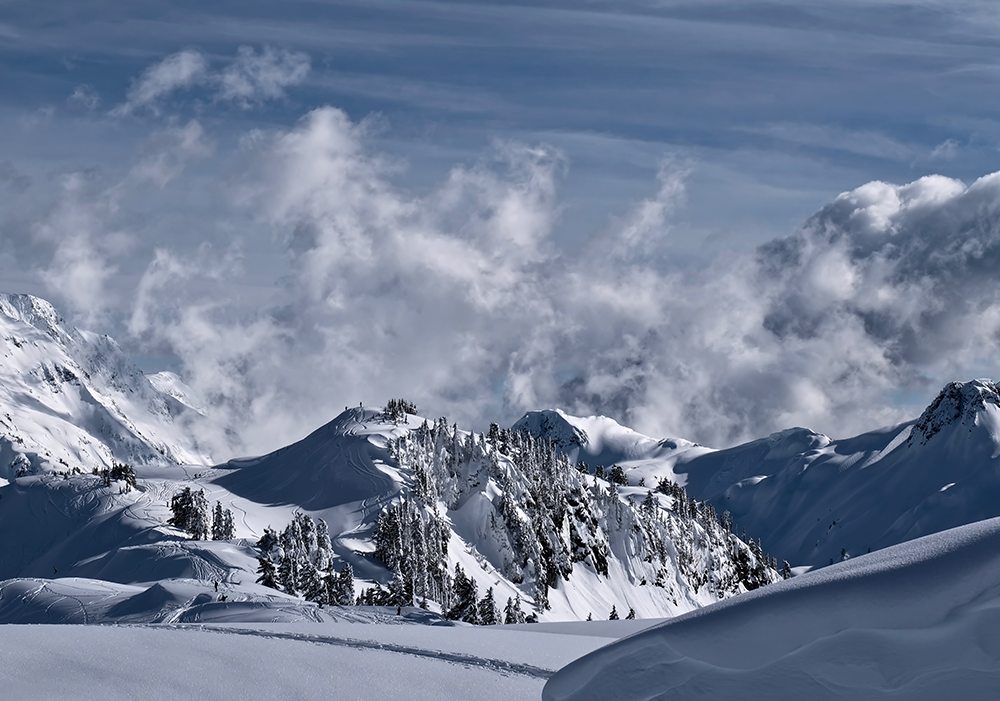 2025: A Year in Review